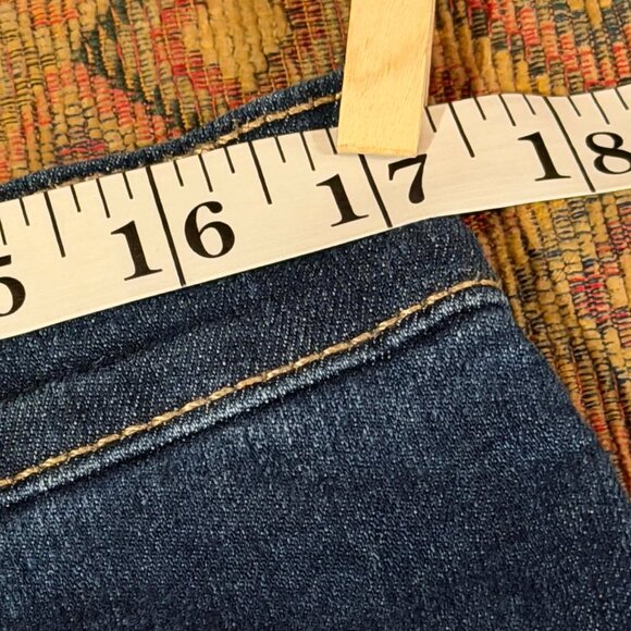 Lightly Used - Gloria Vanderbilt Amanda Jeans Size 16PS - 34" x 24" - Picture 13 of 14